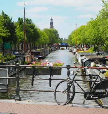 Veluwemeer & Umgebung- Ein idyllisches Bild einer Brücke über einem ruhigen Gewässer, umgeben von üppigem Grün. Ein einzelnes Fahrrad ziert die Brücke, verleihend eine malerische Atmosphäre.